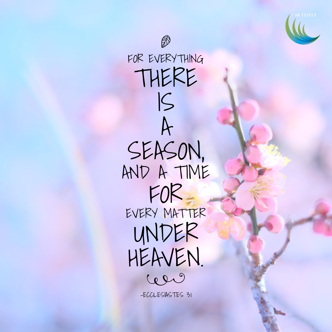 The Lord is our compass